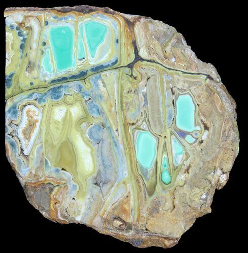 Slab Of Clay Canyon Variscite - Old Collection Stock #39160